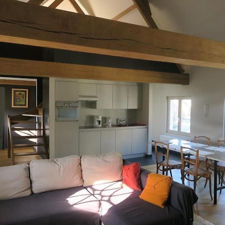 B&B / Studio De Druivelaar In Hartje Kluisbergen Exteriör bild